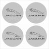 Wielnaaf stickers Jaguar